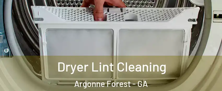 Dryer Lint Cleaning Argonne Forest - GA