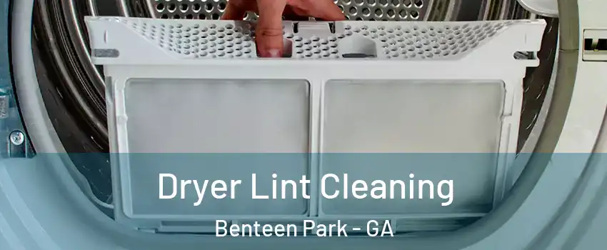Dryer Lint Cleaning Benteen Park - GA