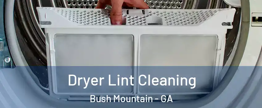 Dryer Lint Cleaning Bush Mountain - GA