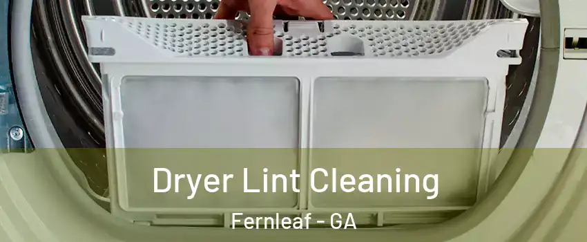Dryer Lint Cleaning Fernleaf - GA