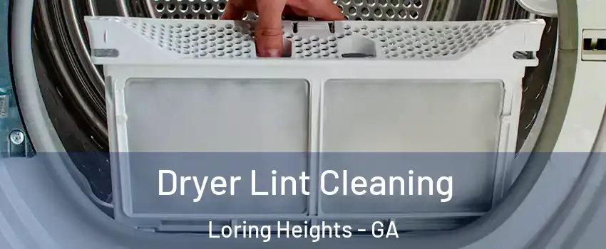 Dryer Lint Cleaning Loring Heights - GA