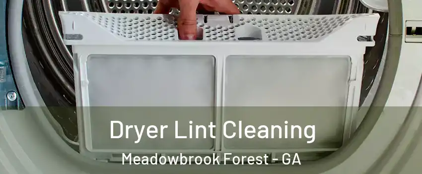 Dryer Lint Cleaning Meadowbrook Forest - GA