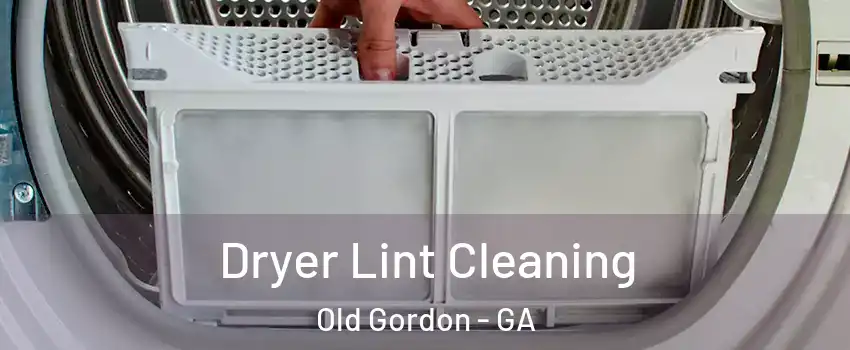 Dryer Lint Cleaning Old Gordon - GA