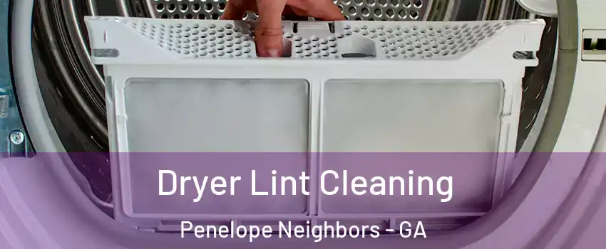Dryer Lint Cleaning Penelope Neighbors - GA