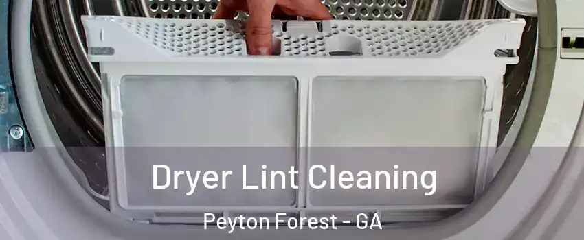Dryer Lint Cleaning Peyton Forest - GA