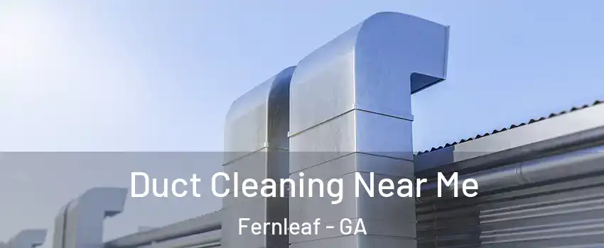 Duct Cleaning Near Me Fernleaf - GA