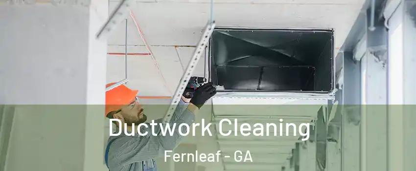 Ductwork Cleaning Fernleaf - GA