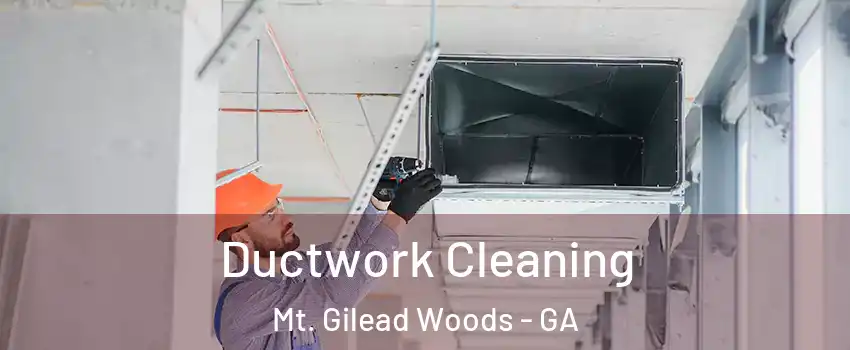 Ductwork Cleaning Mt. Gilead Woods - GA