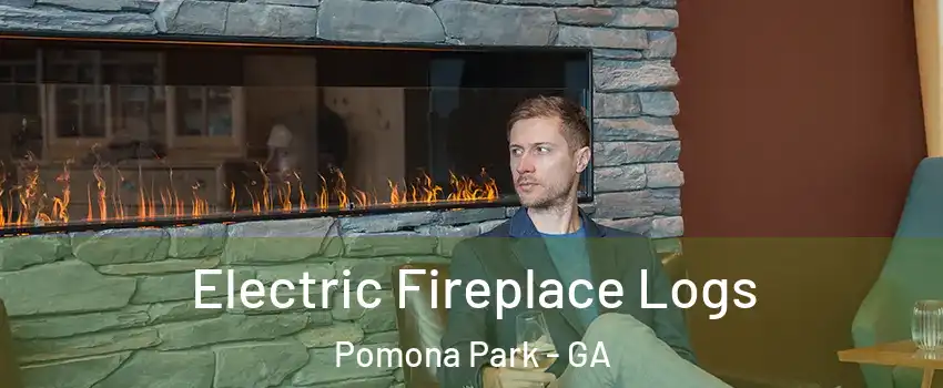 Electric Fireplace Logs Pomona Park - GA