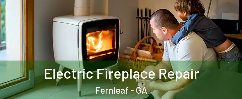 Electric Fireplace Repair Fernleaf - GA