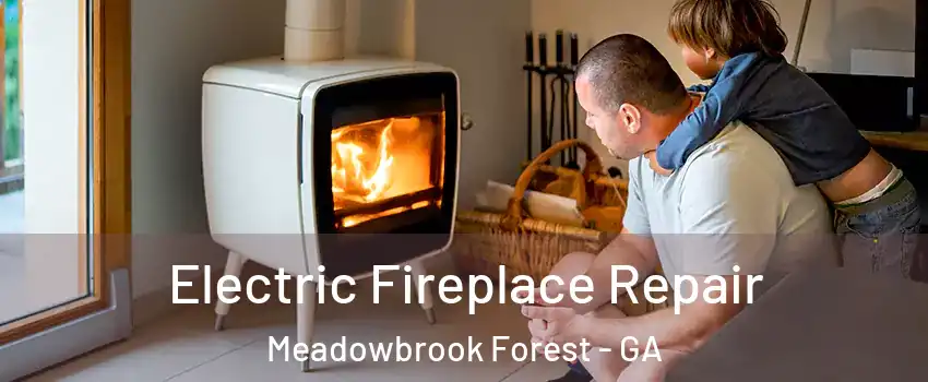 Electric Fireplace Repair Meadowbrook Forest - GA