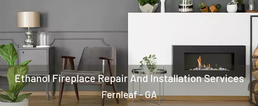 Ethanol Fireplace Repair And Installation Services Fernleaf - GA
