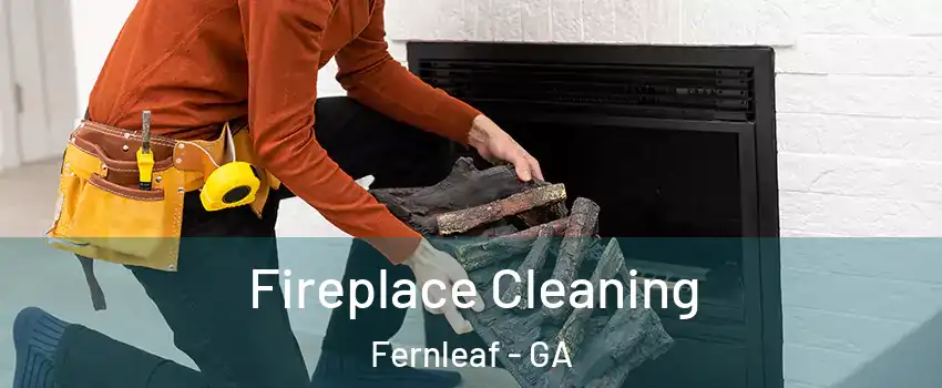 Fireplace Cleaning Fernleaf - GA