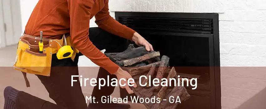 Fireplace Cleaning Mt. Gilead Woods - GA