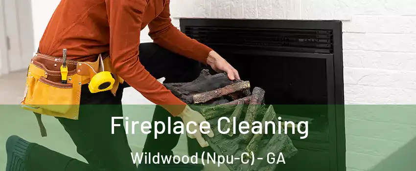 Fireplace Cleaning Wildwood (Npu-C) - GA