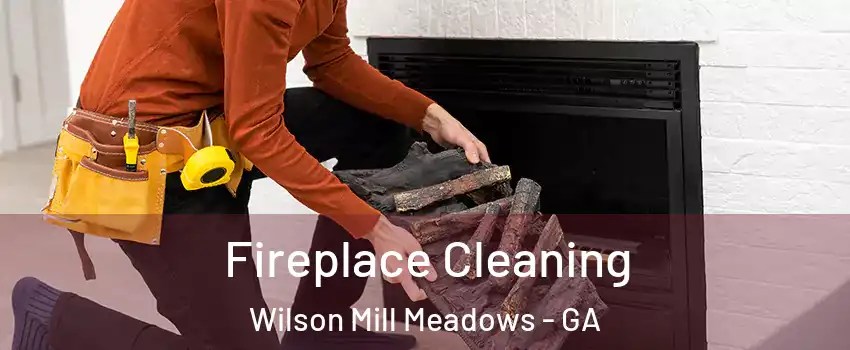 Fireplace Cleaning Wilson Mill Meadows - GA