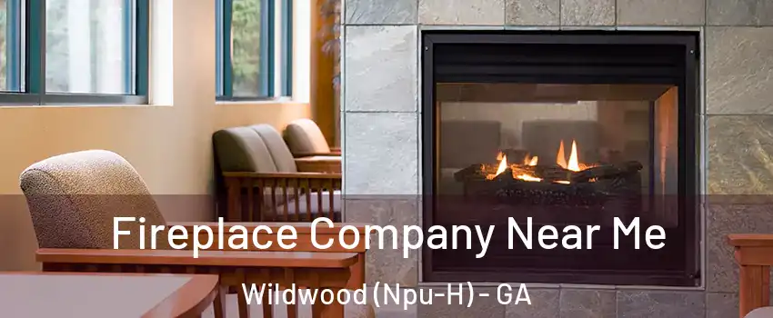 Fireplace Company Near Me Wildwood (Npu-H) - GA