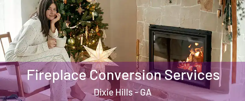 Fireplace Conversion Services Dixie Hills - GA
