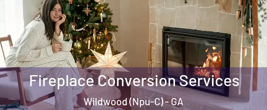 Fireplace Conversion Services Wildwood (Npu-C) - GA