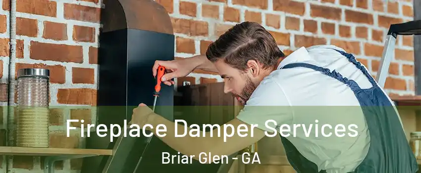 Fireplace Damper Services Briar Glen - GA