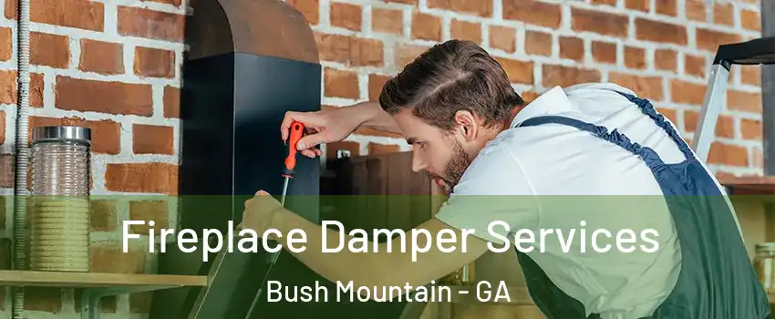 Fireplace Damper Services Bush Mountain - GA