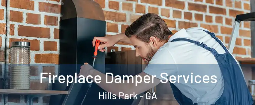 Fireplace Damper Services Hills Park - GA