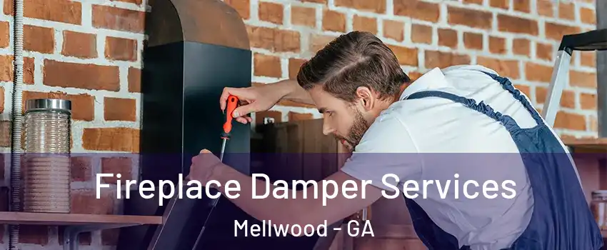 Fireplace Damper Services Mellwood - GA