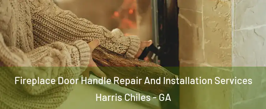 Fireplace Door Handle Repair And Installation Services Harris Chiles - GA