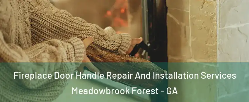 Fireplace Door Handle Repair And Installation Services Meadowbrook Forest - GA