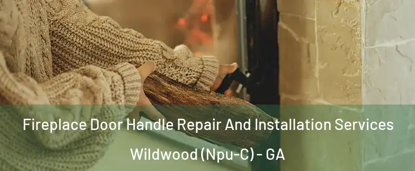 Fireplace Door Handle Repair And Installation Services Wildwood (Npu-C) - GA