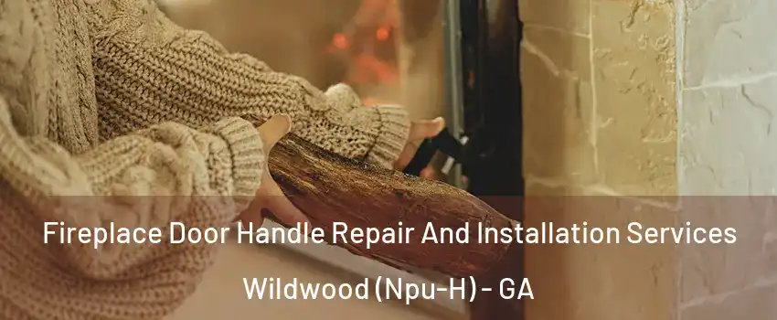 Fireplace Door Handle Repair And Installation Services Wildwood (Npu-H) - GA