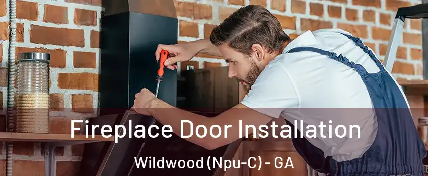 Fireplace Door Installation Wildwood (Npu-C) - GA
