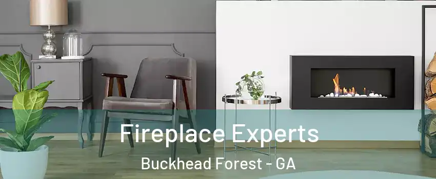 Fireplace Experts Buckhead Forest - GA