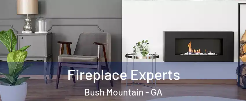 Fireplace Experts Bush Mountain - GA