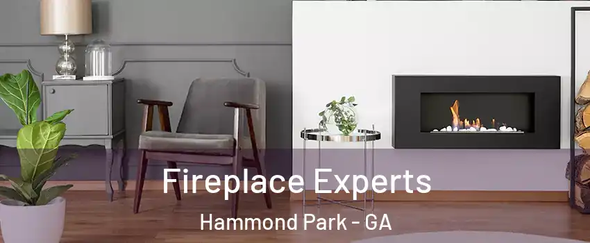 Fireplace Experts Hammond Park - GA