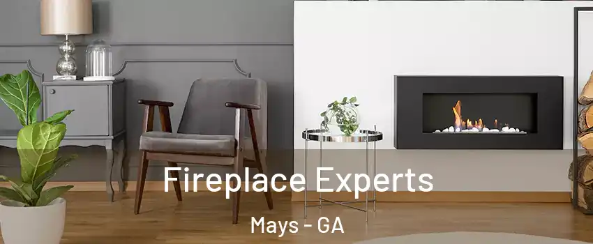 Fireplace Experts Mays - GA