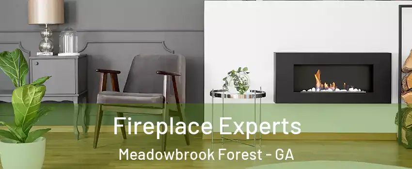 Fireplace Experts Meadowbrook Forest - GA
