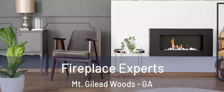 Fireplace Experts Mt. Gilead Woods - GA