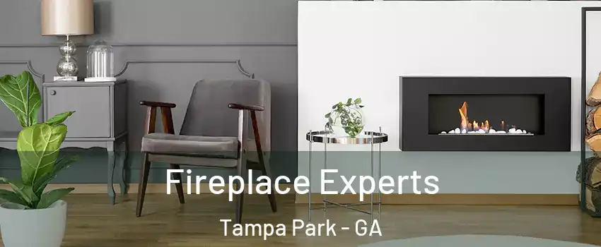 Fireplace Experts Tampa Park - GA