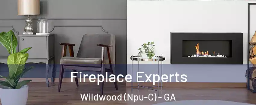 Fireplace Experts Wildwood (Npu-C) - GA