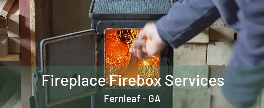 Fireplace Firebox Services Fernleaf - GA