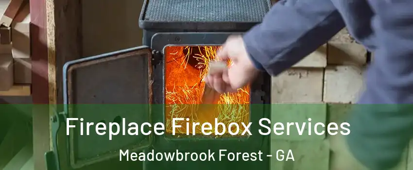Fireplace Firebox Services Meadowbrook Forest - GA