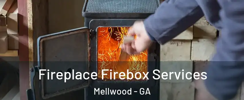Fireplace Firebox Services Mellwood - GA
