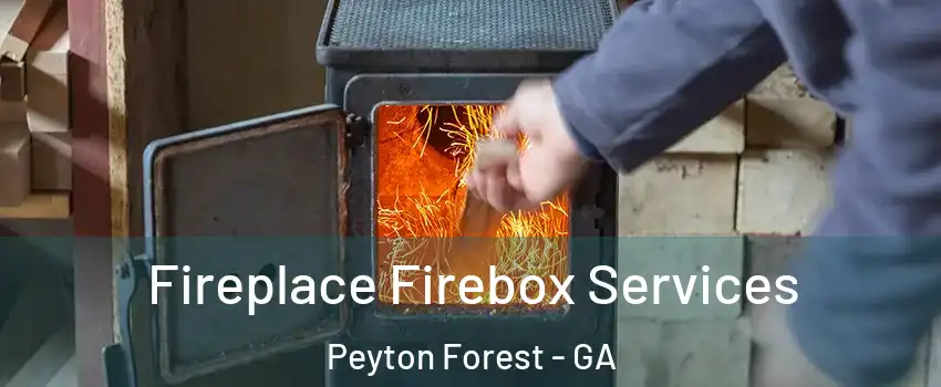 Fireplace Firebox Services Peyton Forest - GA