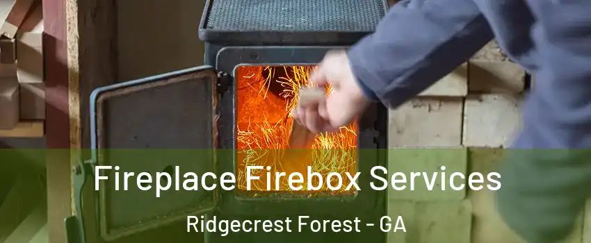 Fireplace Firebox Services Ridgecrest Forest - GA