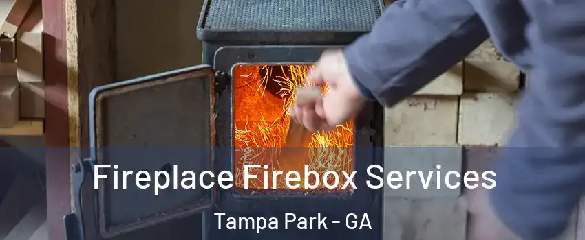 Fireplace Firebox Services Tampa Park - GA
