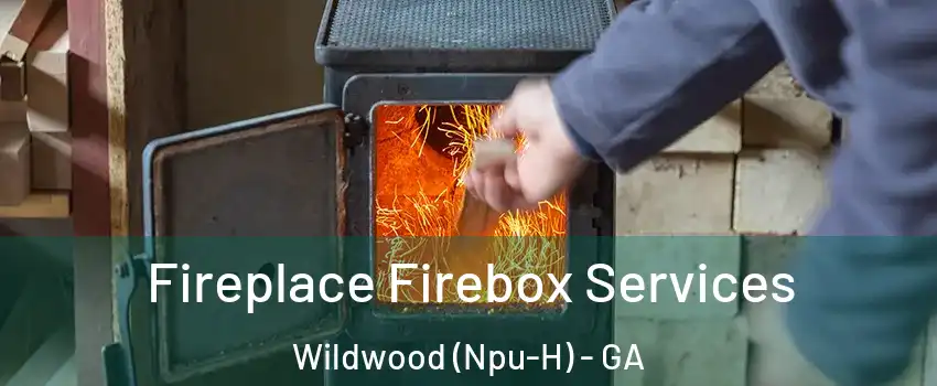 Fireplace Firebox Services Wildwood (Npu-H) - GA