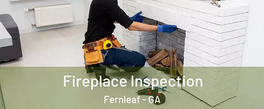 Fireplace Inspection Fernleaf - GA