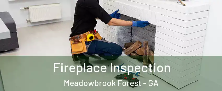 Fireplace Inspection Meadowbrook Forest - GA