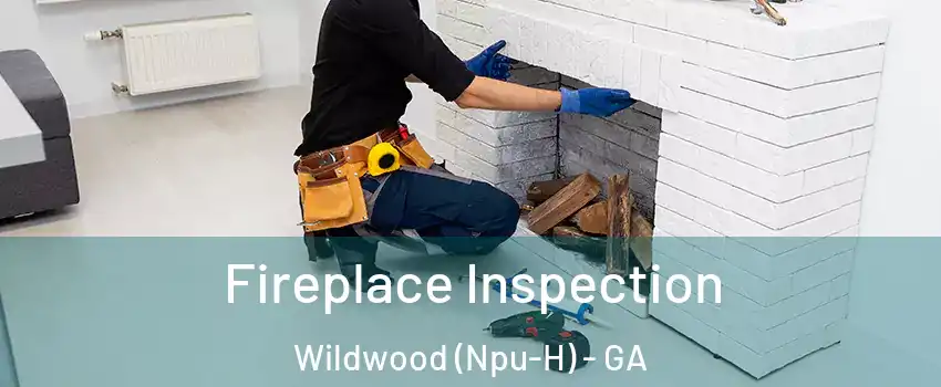 Fireplace Inspection Wildwood (Npu-H) - GA